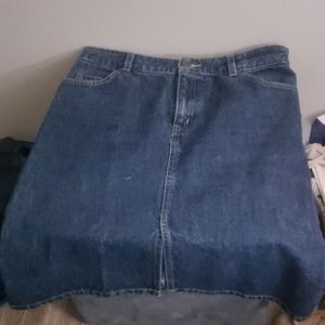 The Limited Denim Skirt